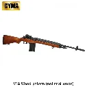 m14 2.webp