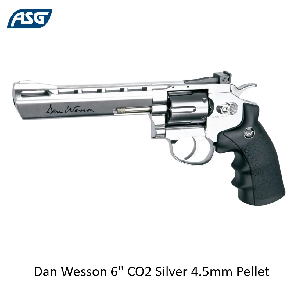 Dan Wesson 6" CO2 Silver 4.5mm Pellet
