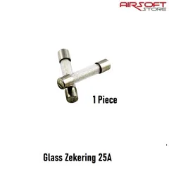 Glass Zekering 25A